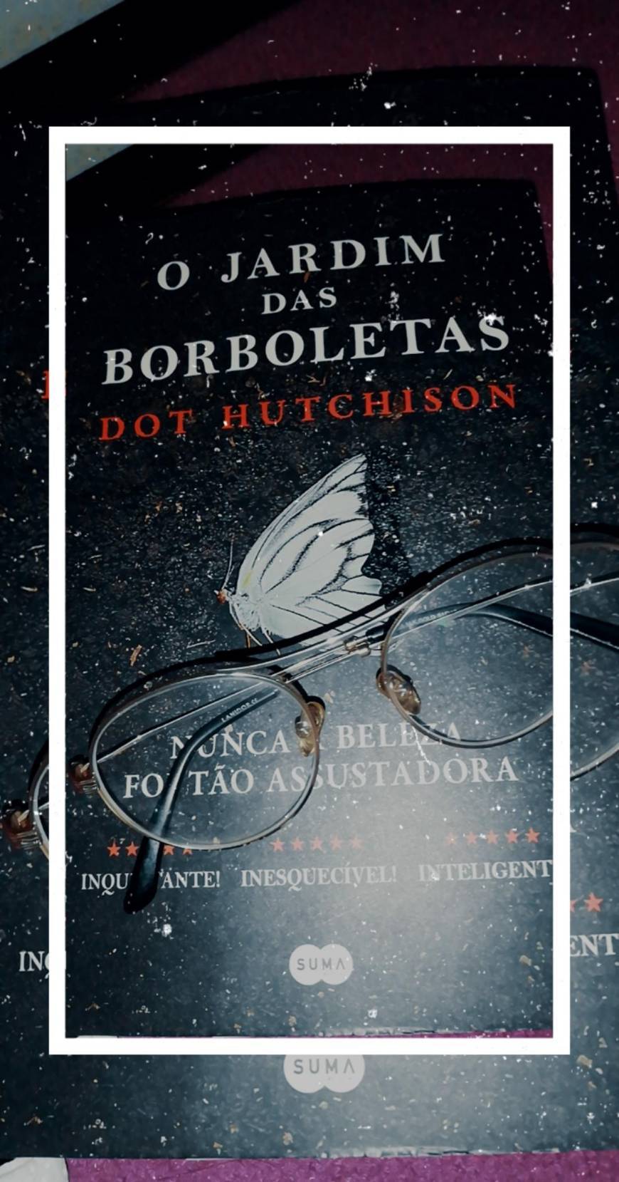 Libro Jardim das Borboleta 🦋