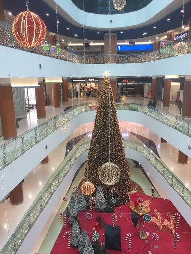 Palácio do Gelo Shopping