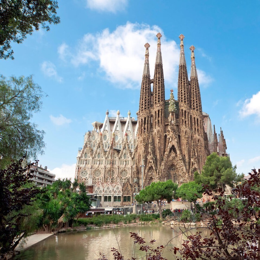 Lugar Basílica Sagrada Familia