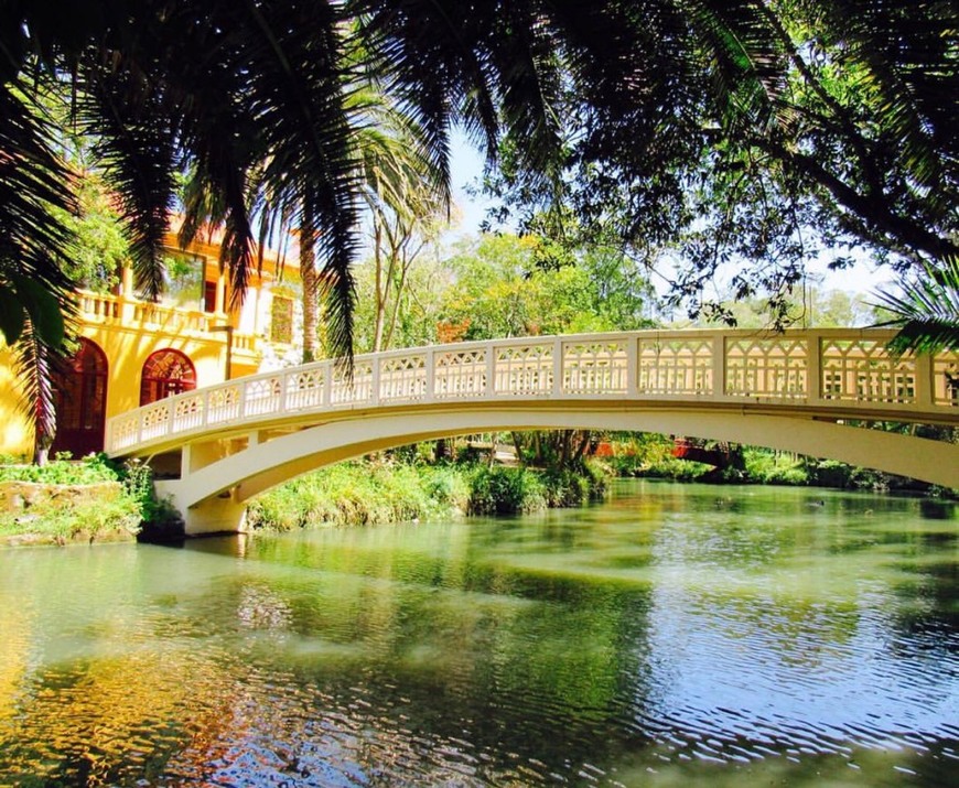 Lugar Parque Dom Pedro Infante - City Park