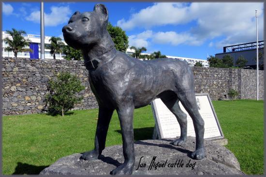 Lugares Cão de Fila de São Miguel