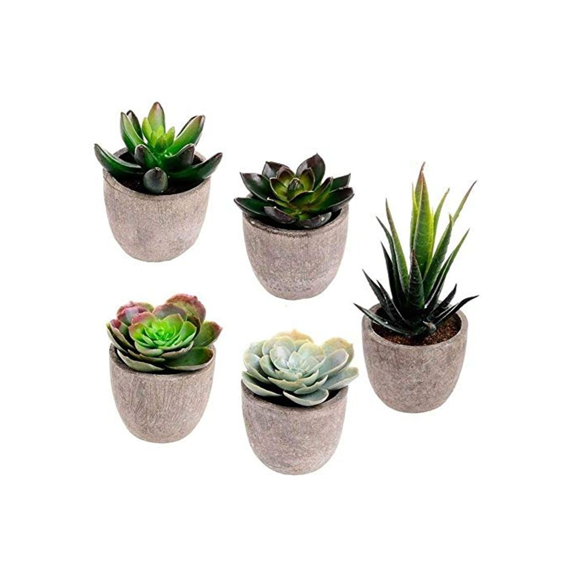 Product Artificia plantas en maceta Casa regalo Juego de 5 Surtido decorativos imitación suculentas plantas artificiales en maceta las plantas Mini Plantas falsas Cactus Cactus con Gray Ollas Falso Planta dec