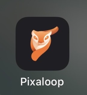 App Pixaloop