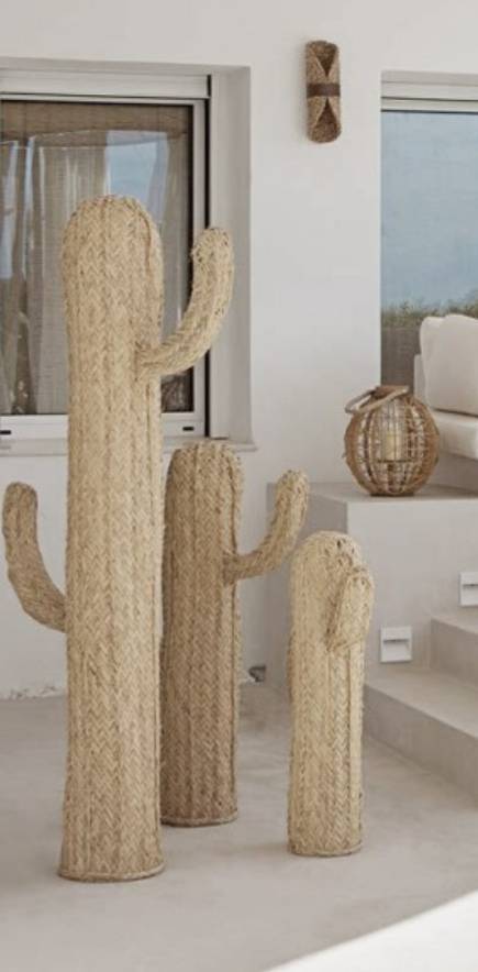 Producto Cactus de esparto