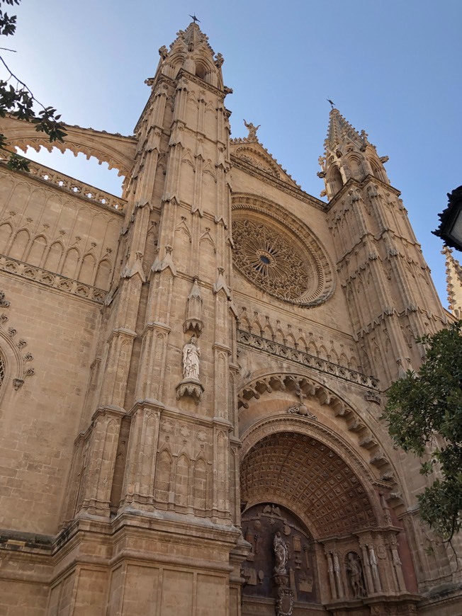 Catedral de Mallorca