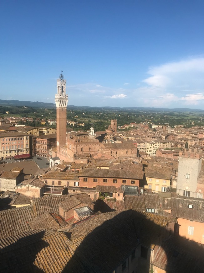 Restaurants Siena Cathedral