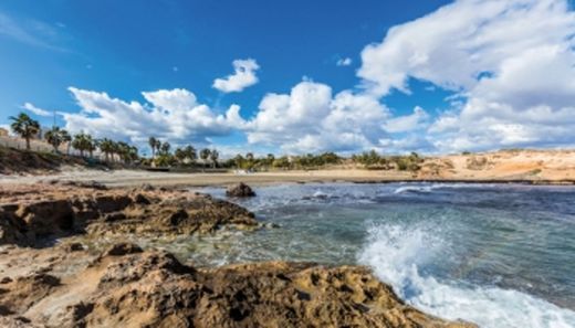 Playa Flamenca