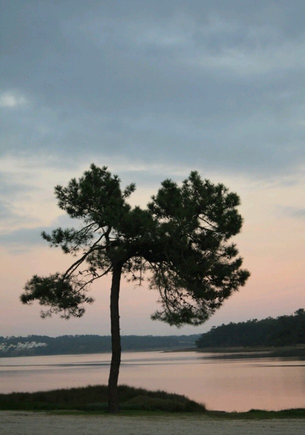 Lagoa de Óbidos