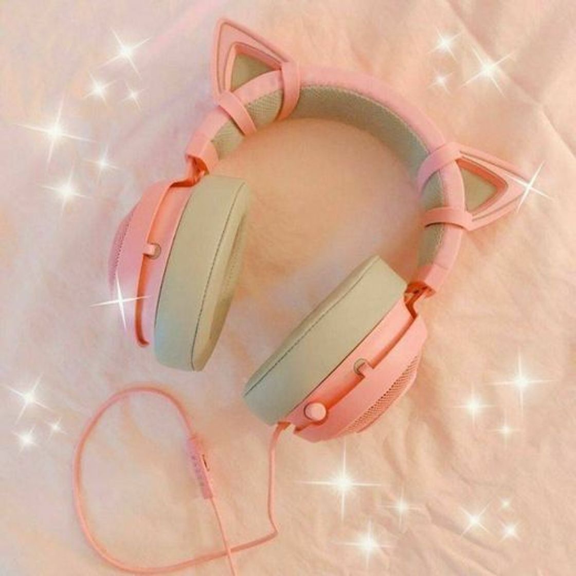 Fashion Fones de Gatinho!💙