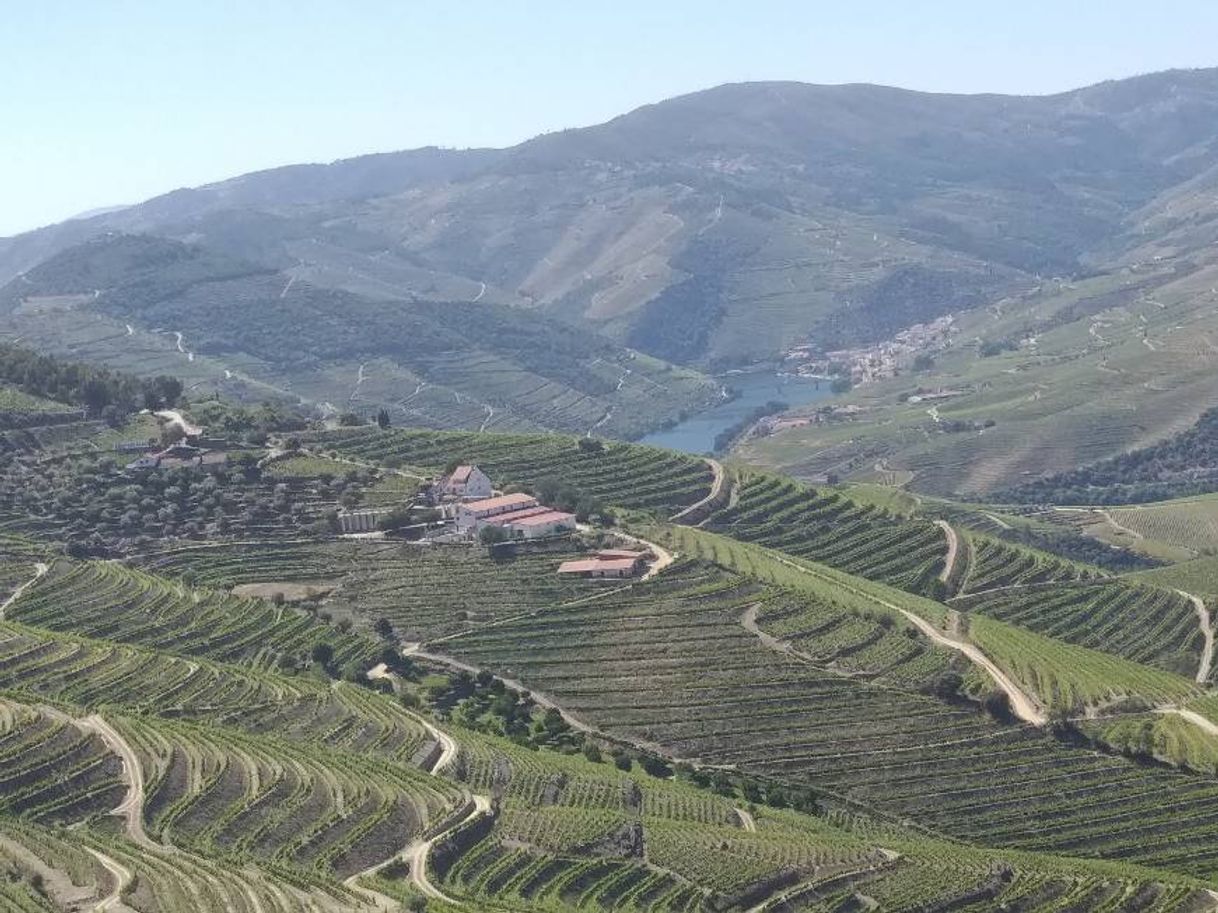 Lugar Douro