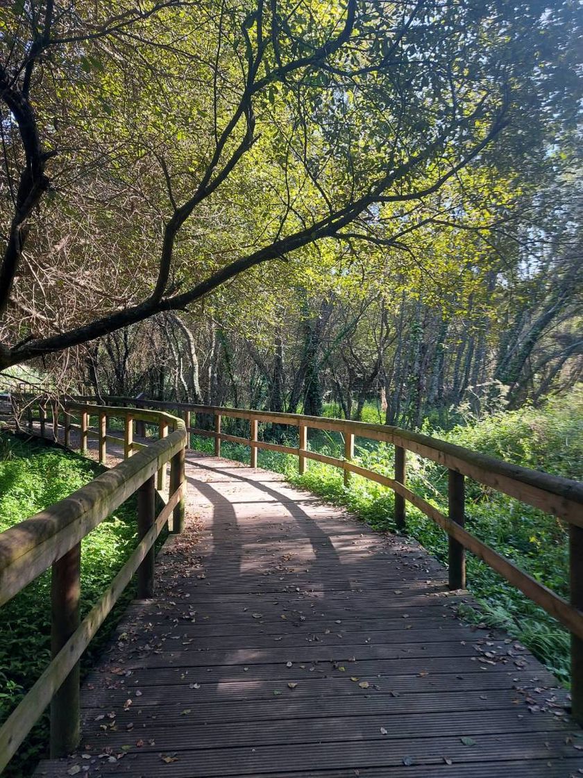 Lugar Passadiços de Fiães (Parque das Ribeiras)