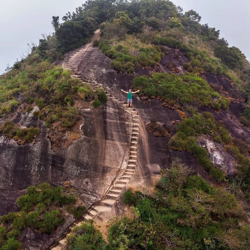 Lugar Pico da Tijuca