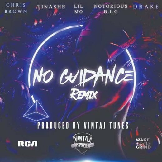 No Guidance (remix) - Ayzha Nyree 