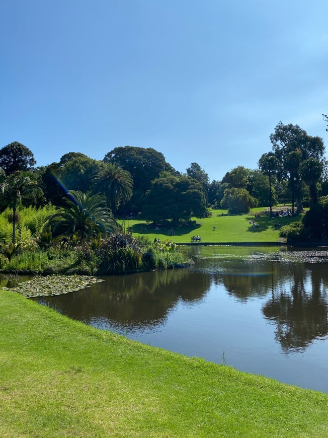 Place Royal Botanic Gardens