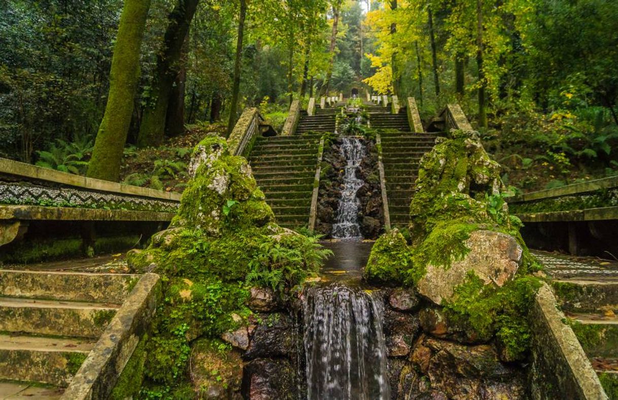 Place Mata Nacional do Buçaco