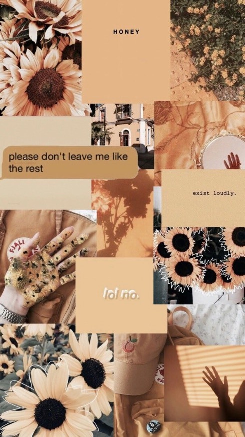 Wallpaper