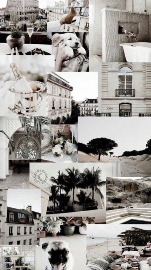 Wallpaper