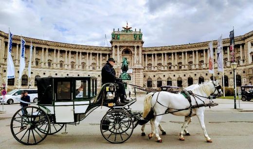 Place Hofburg Palace