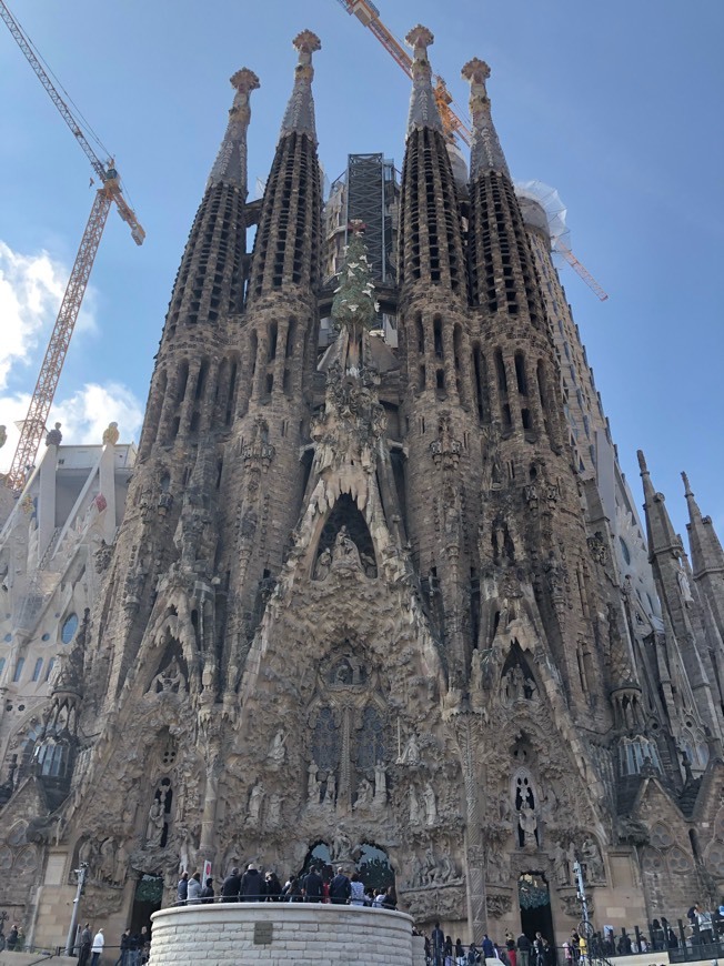 Lugar Basílica Sagrada Familia