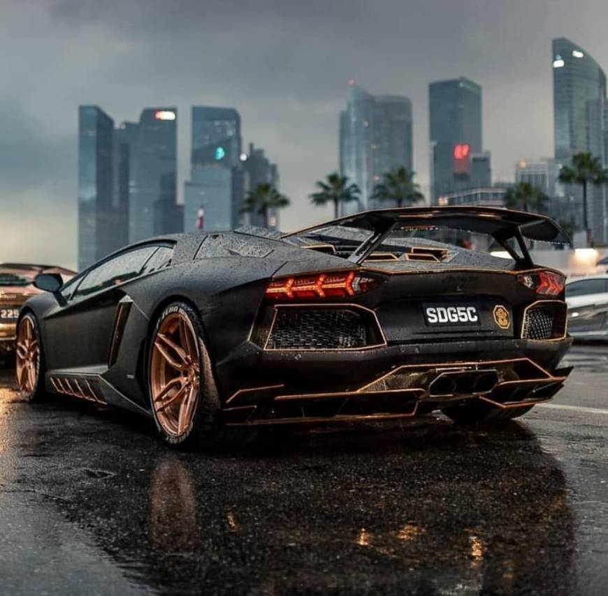Social Car 13