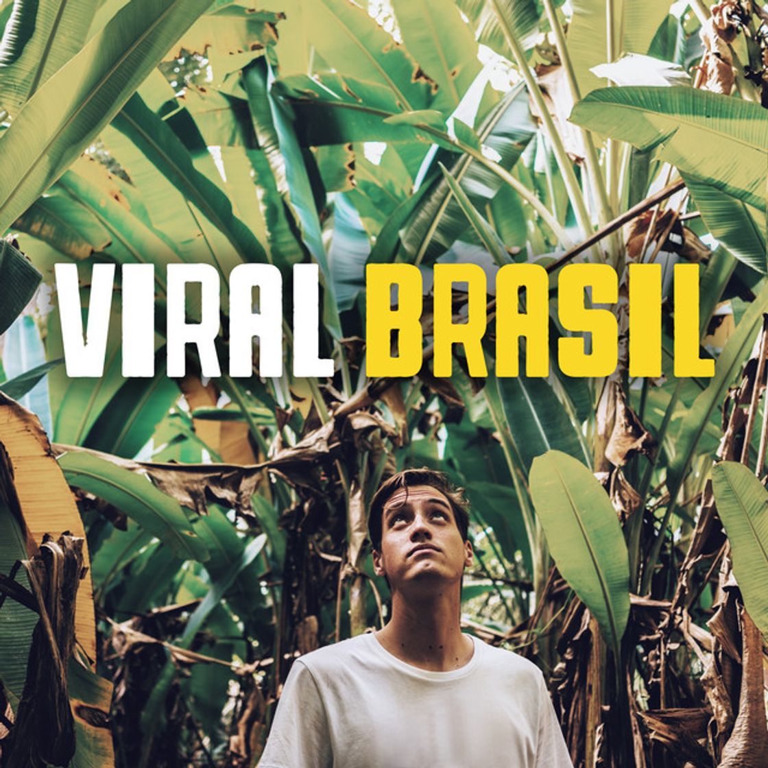 Music É Problema