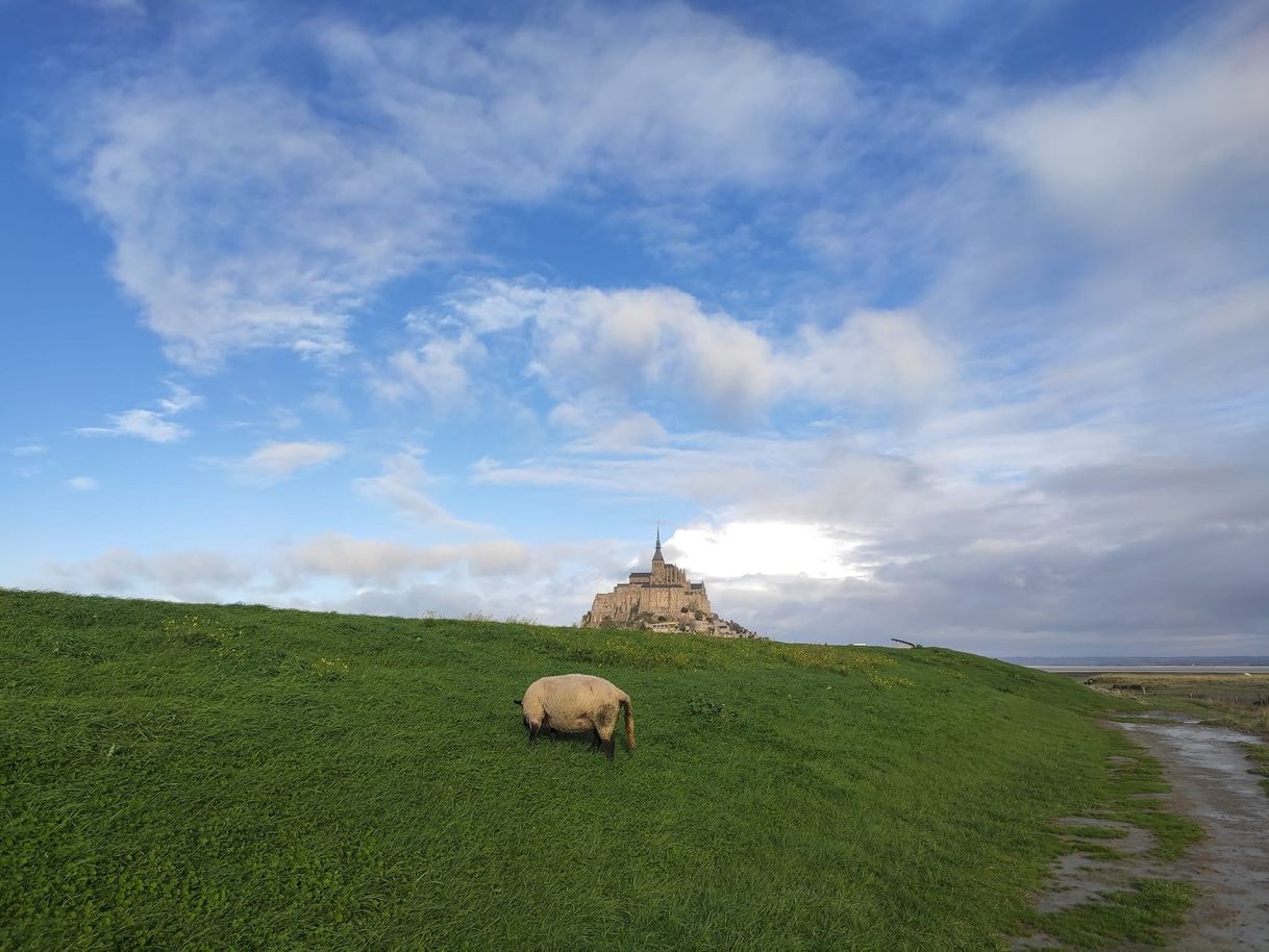 Lugar Le Mont-Saint-Michel