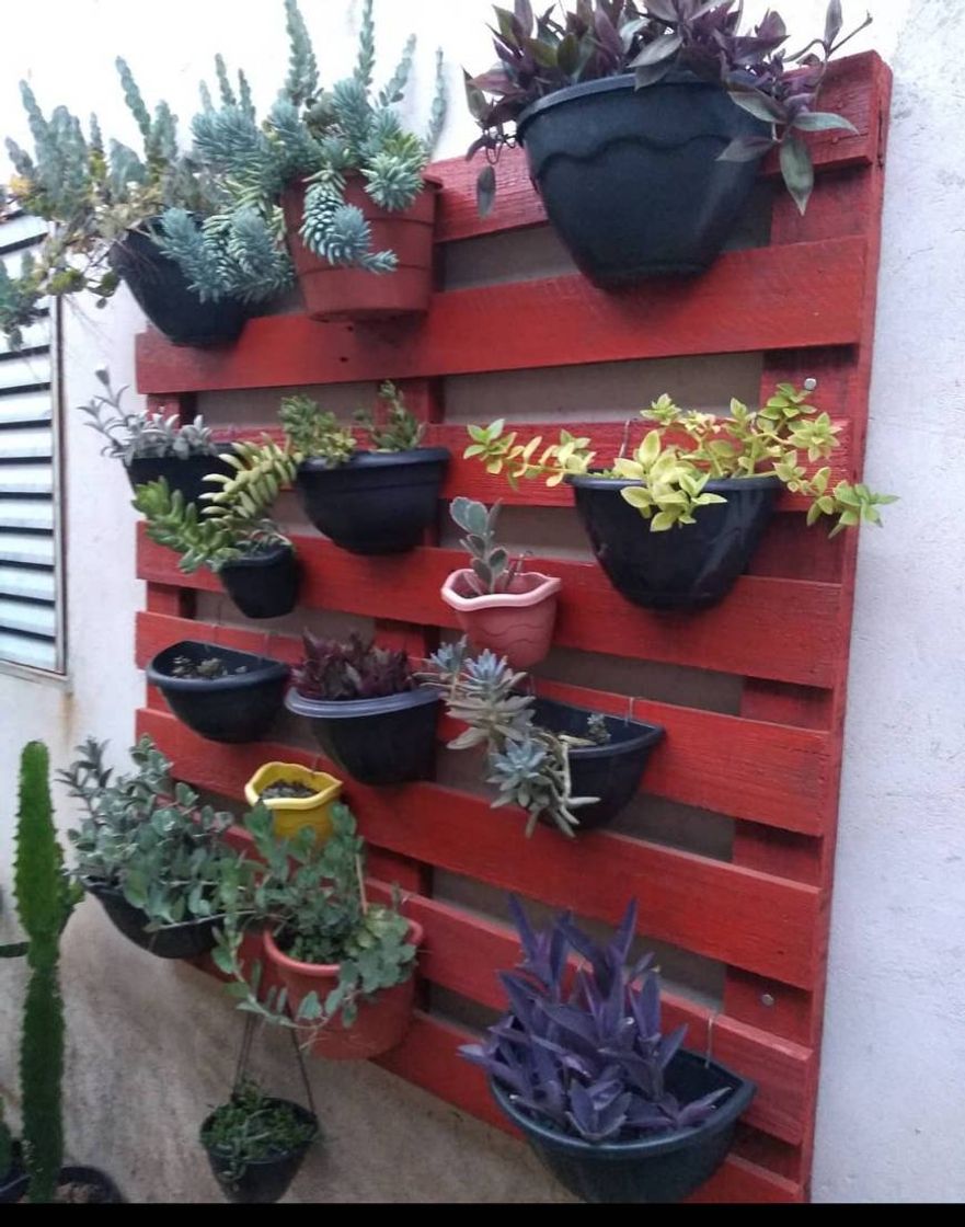 Moda Quem não ama um palet de plantinhas