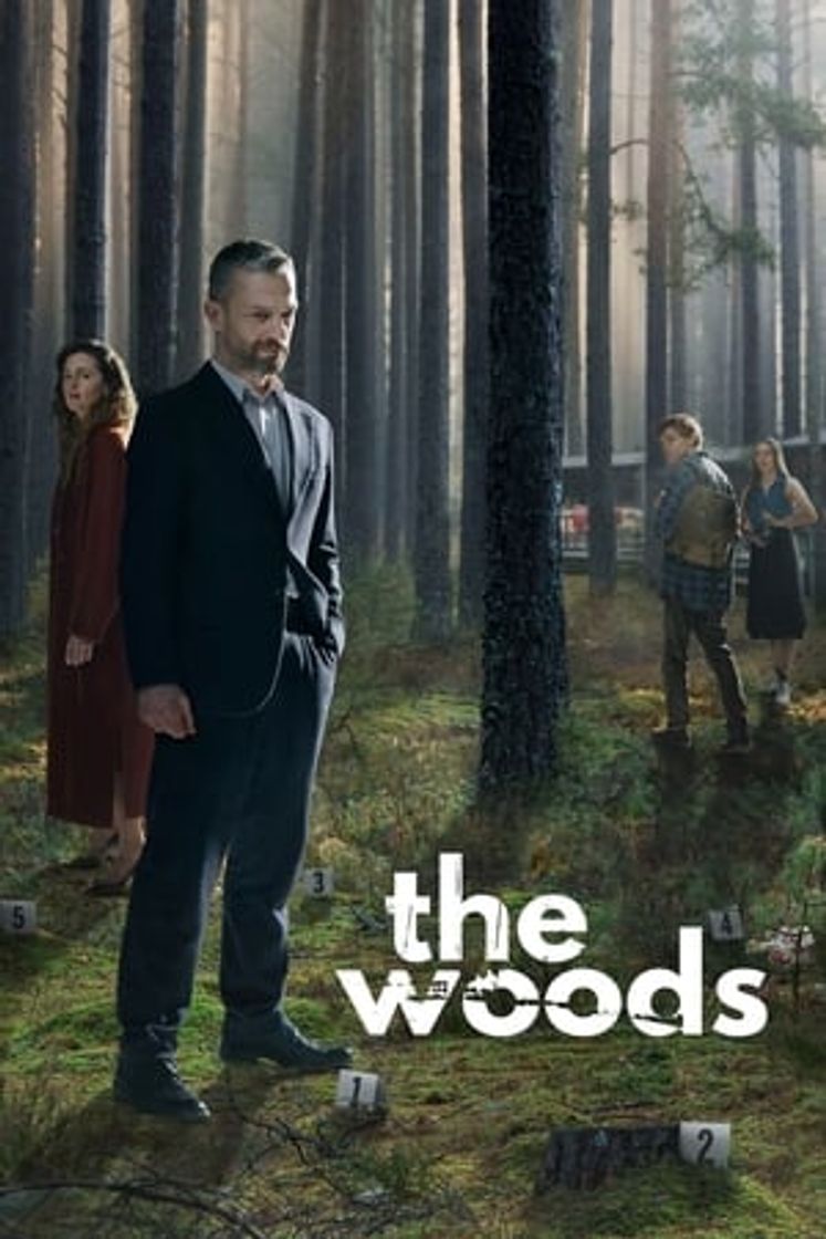 Serie Bosque adentro