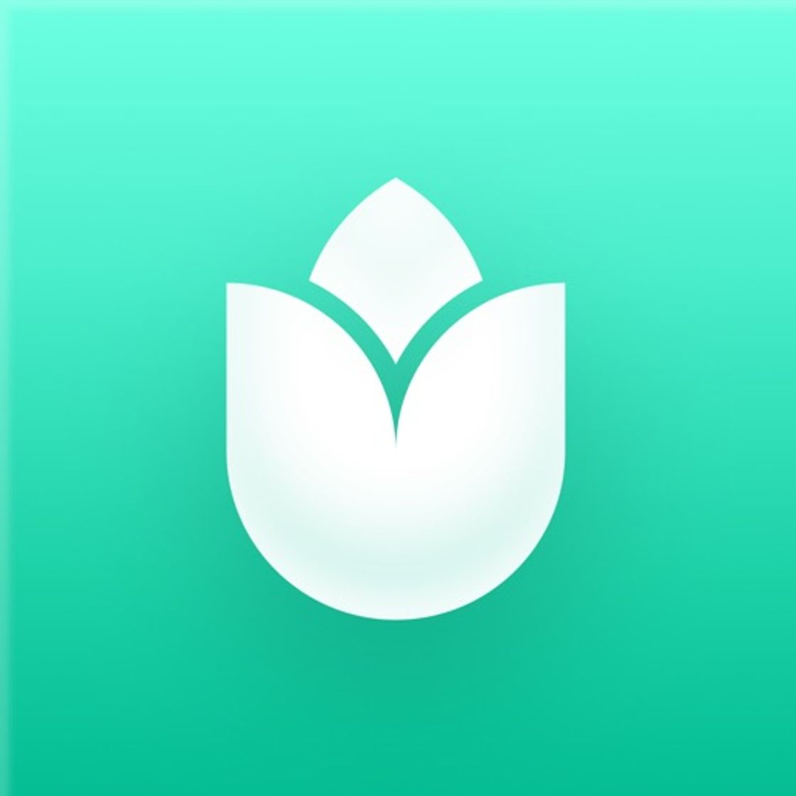 App PlantIn: Plant Identifier