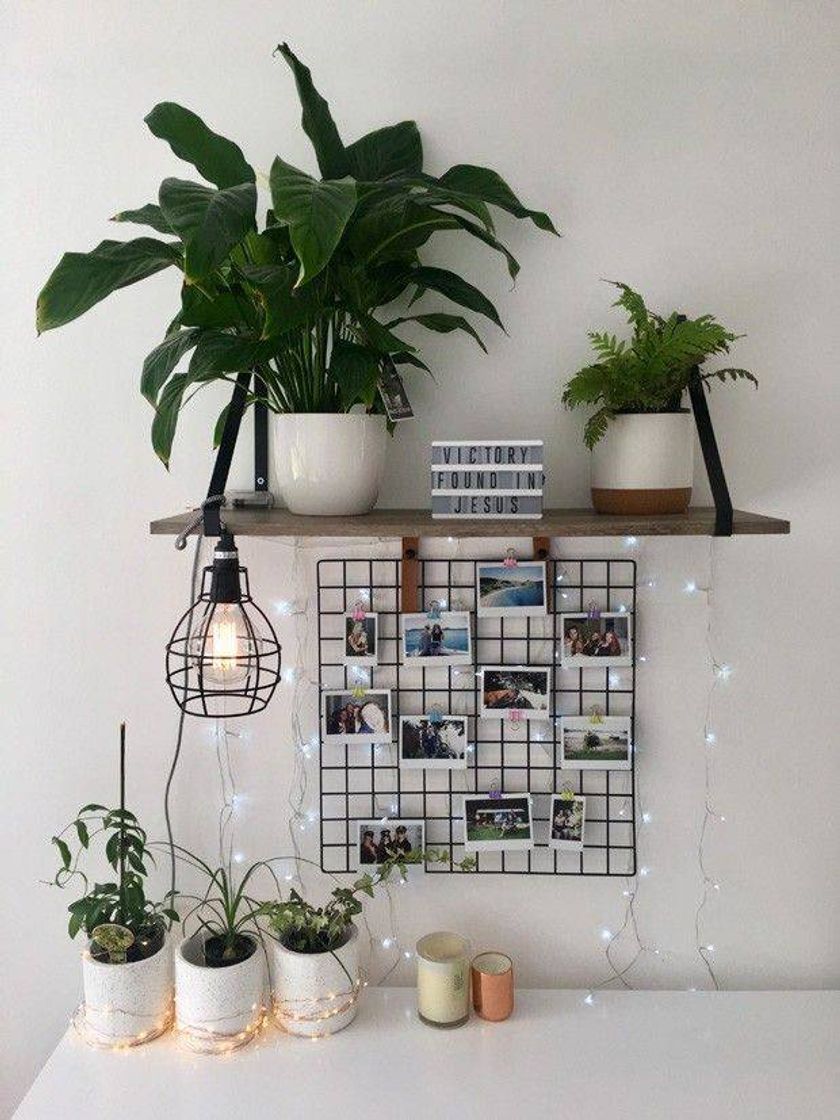 Fashion Quarto 🌿