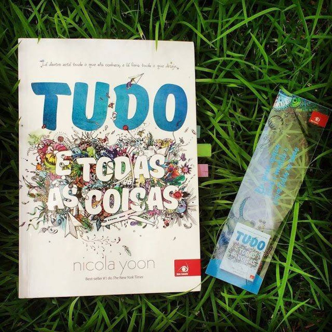 Libros Tudo e todas as coisas