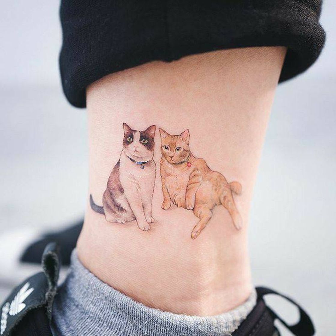 Moda Tatto fofa de dois gatinhos!💗