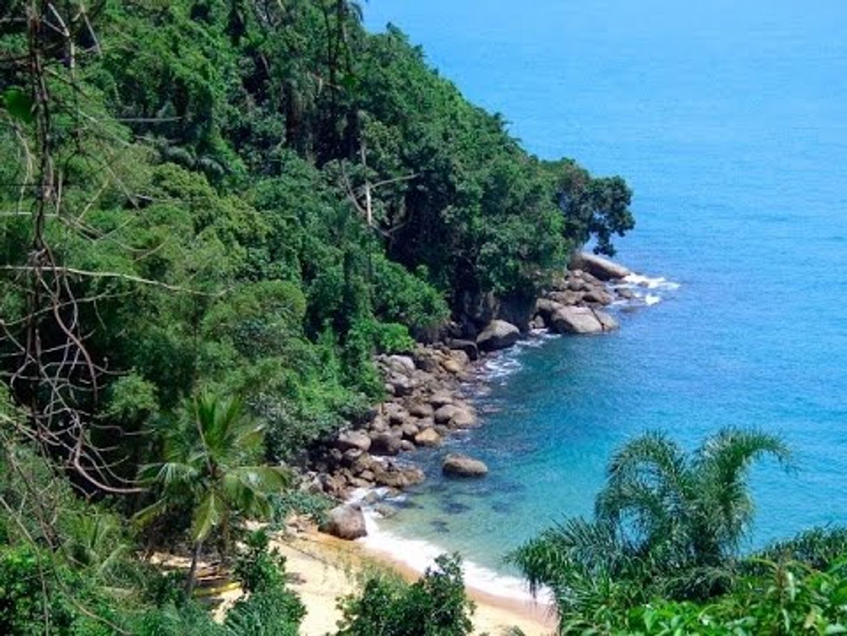 Place Praia do cedro 🌊