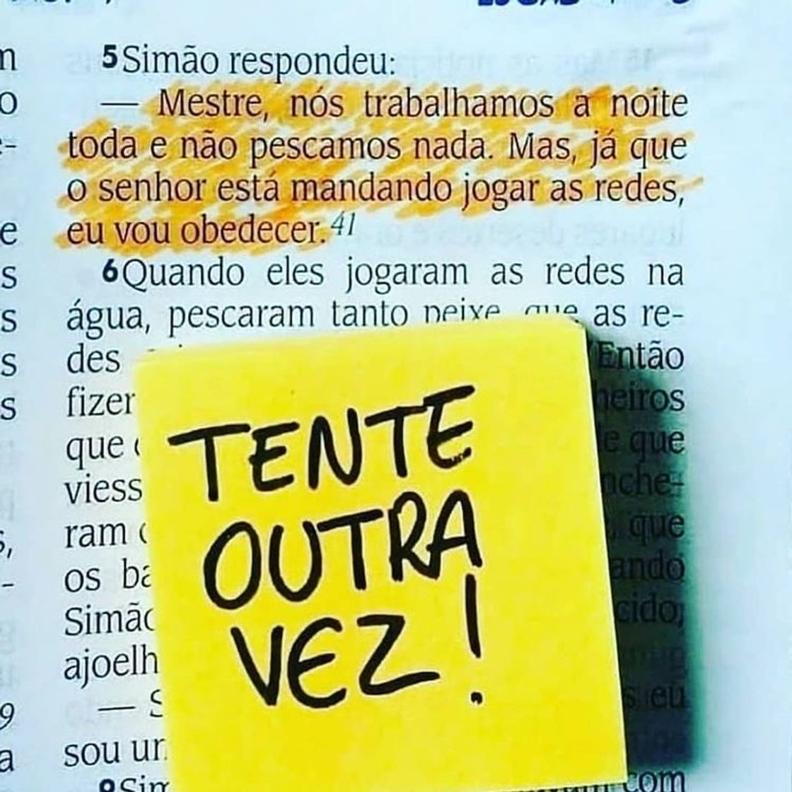 Social Tente outra Vez!✨