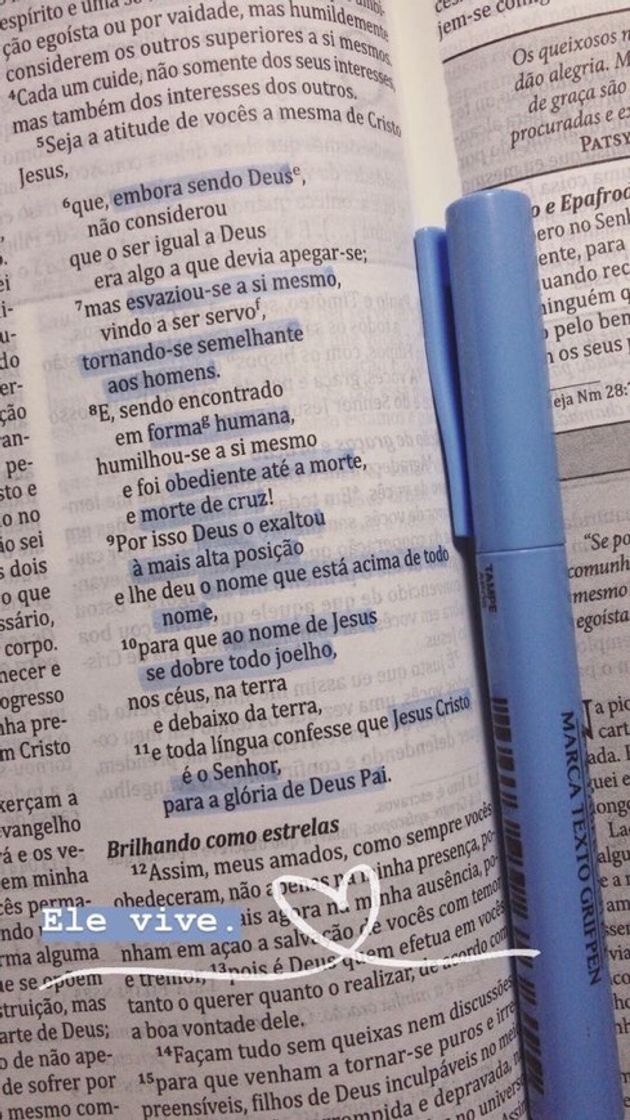 Social Ele Vive!❤️