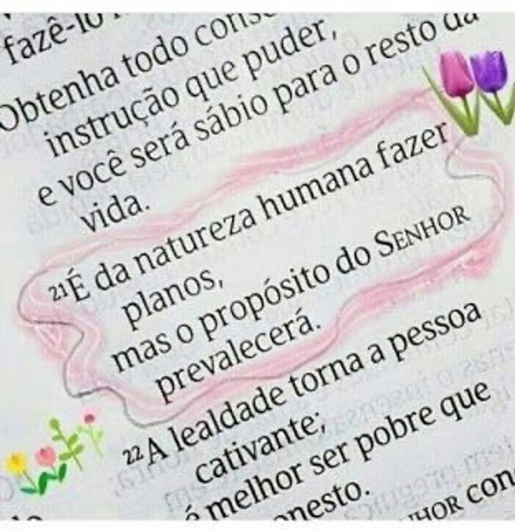 Social Palavras de Deus ❤️