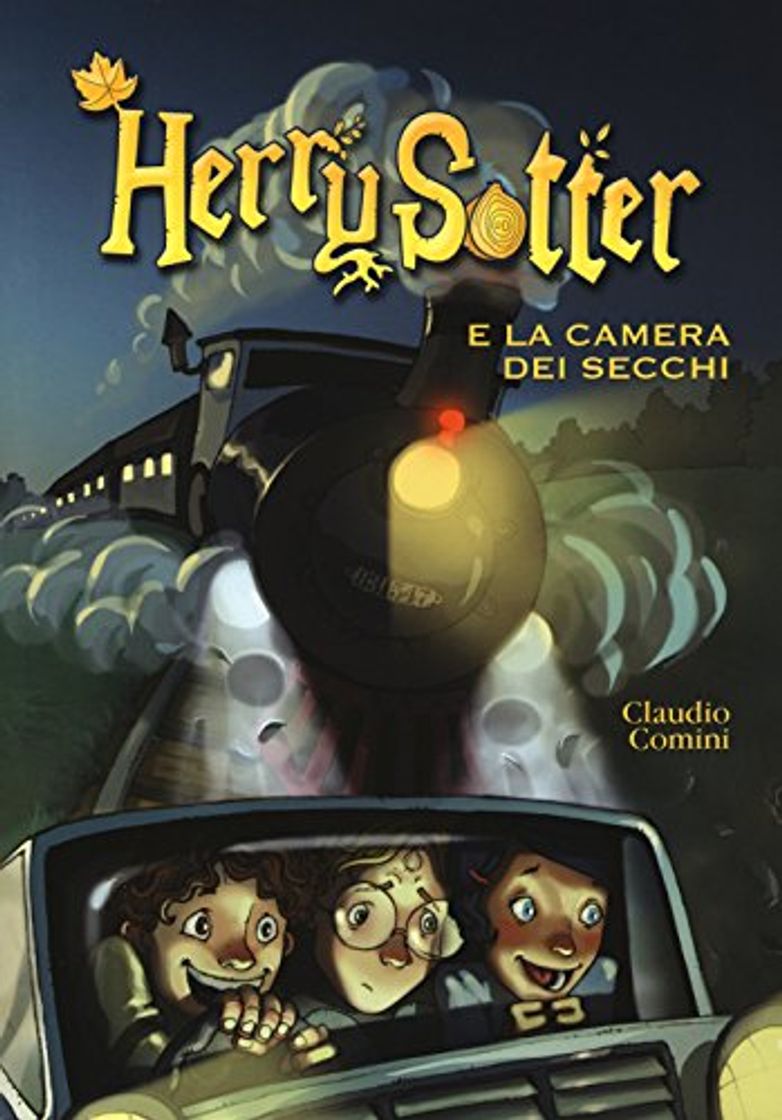 Libro Herry Sotter e la camera dei secchi