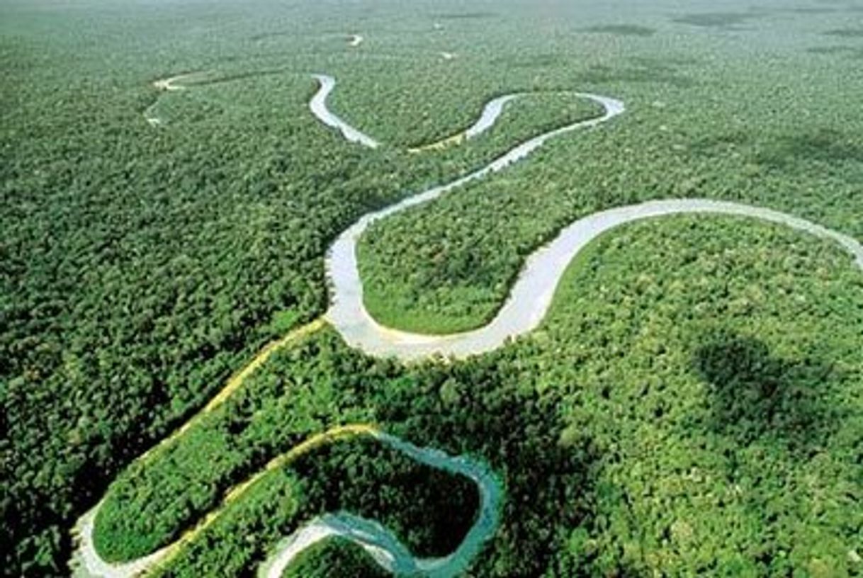 Río Amazonas-Perú