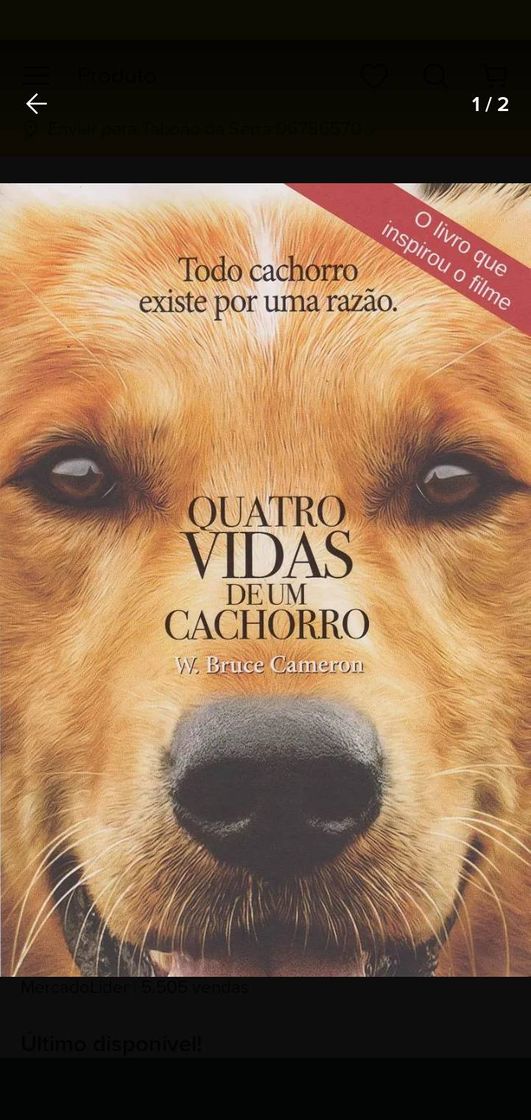 Moda Quatro vidas de um cachorro