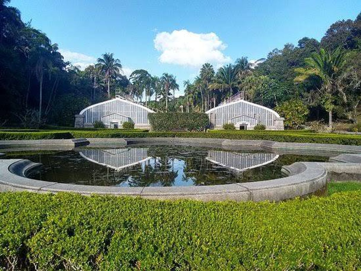 Lugar Jardim Botânico