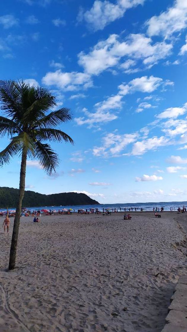 Place Canto do Forte