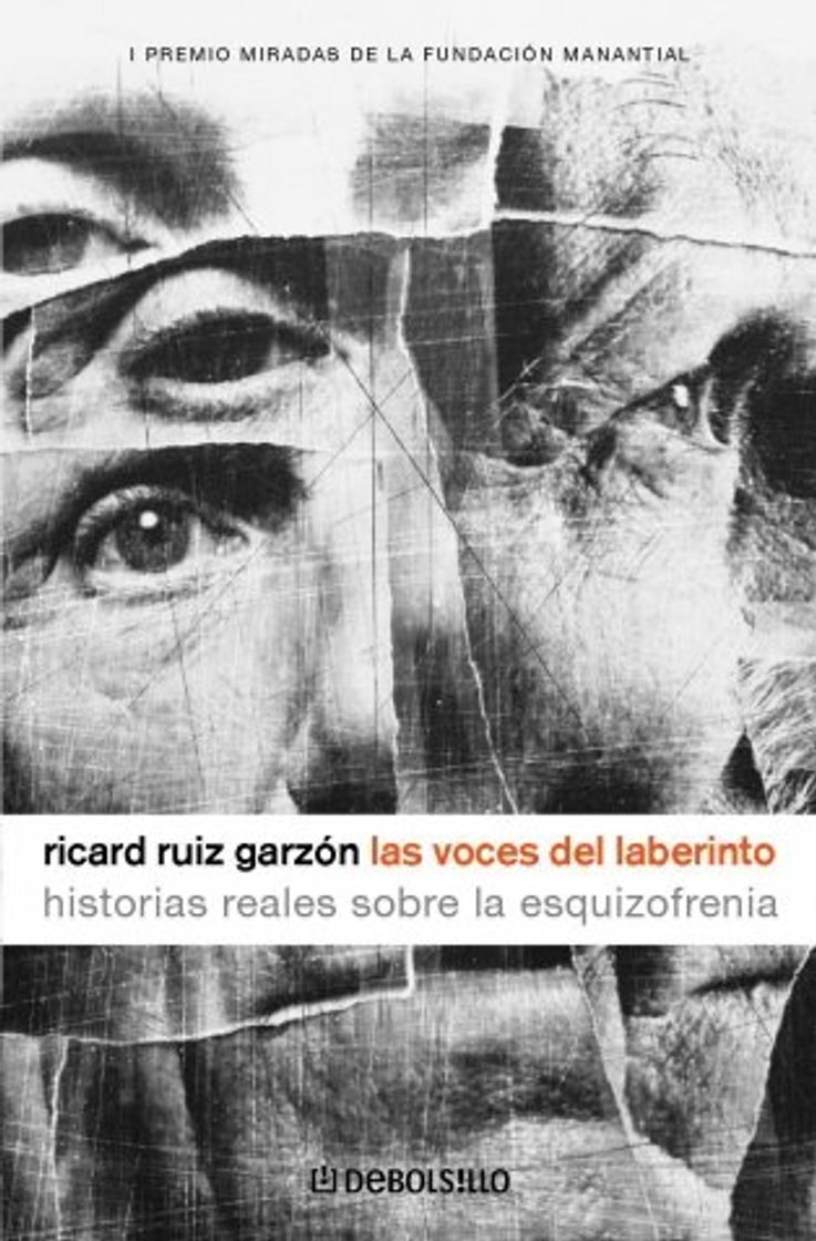 Book Las voces del laberinto: Historias reales sobre la esquizofrenia
