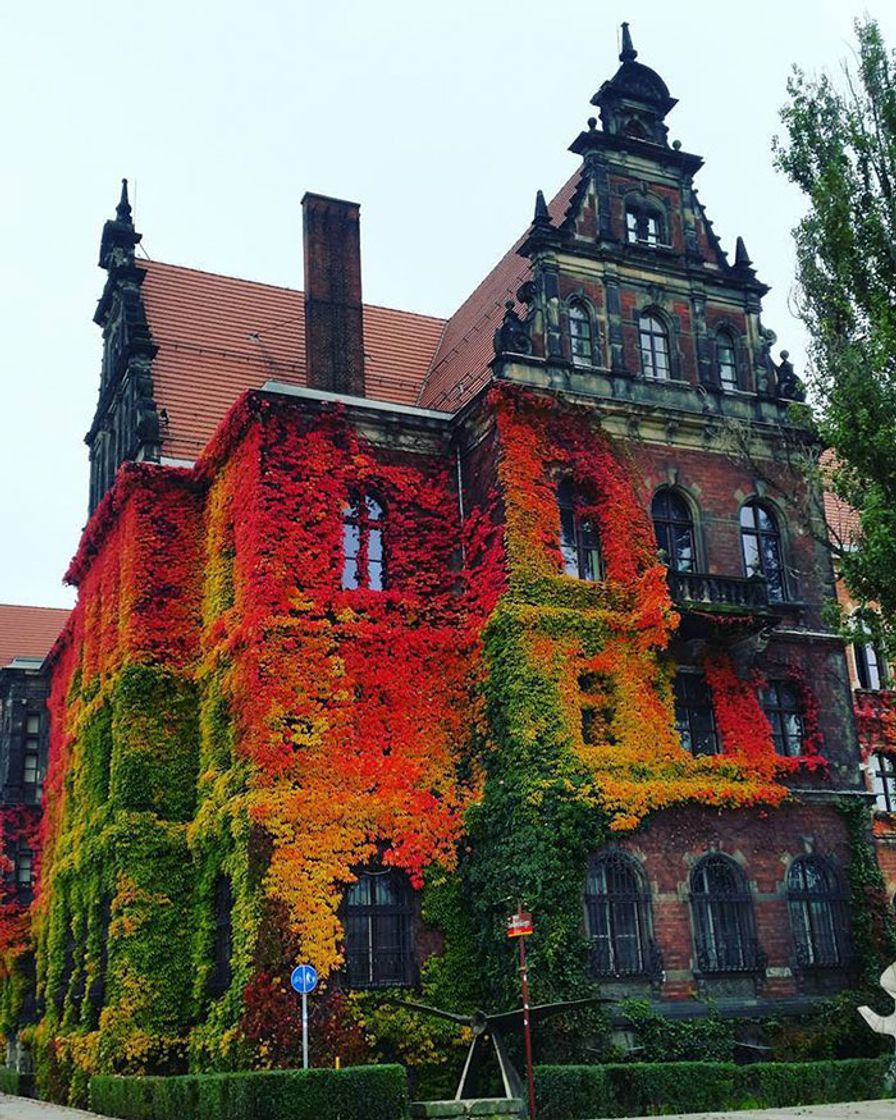 Place National Museum in Wroclaw Museum of Contemporary Art