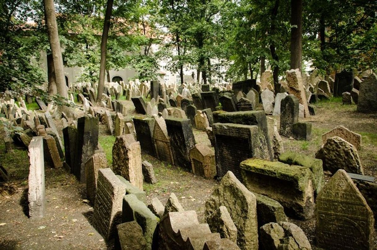 Place Old Jewish Cemetery