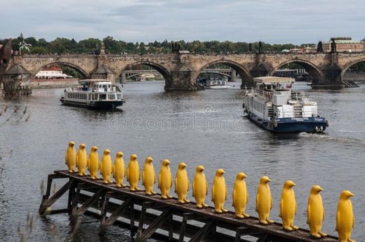 Escultura ''Pingüinos amarillos''