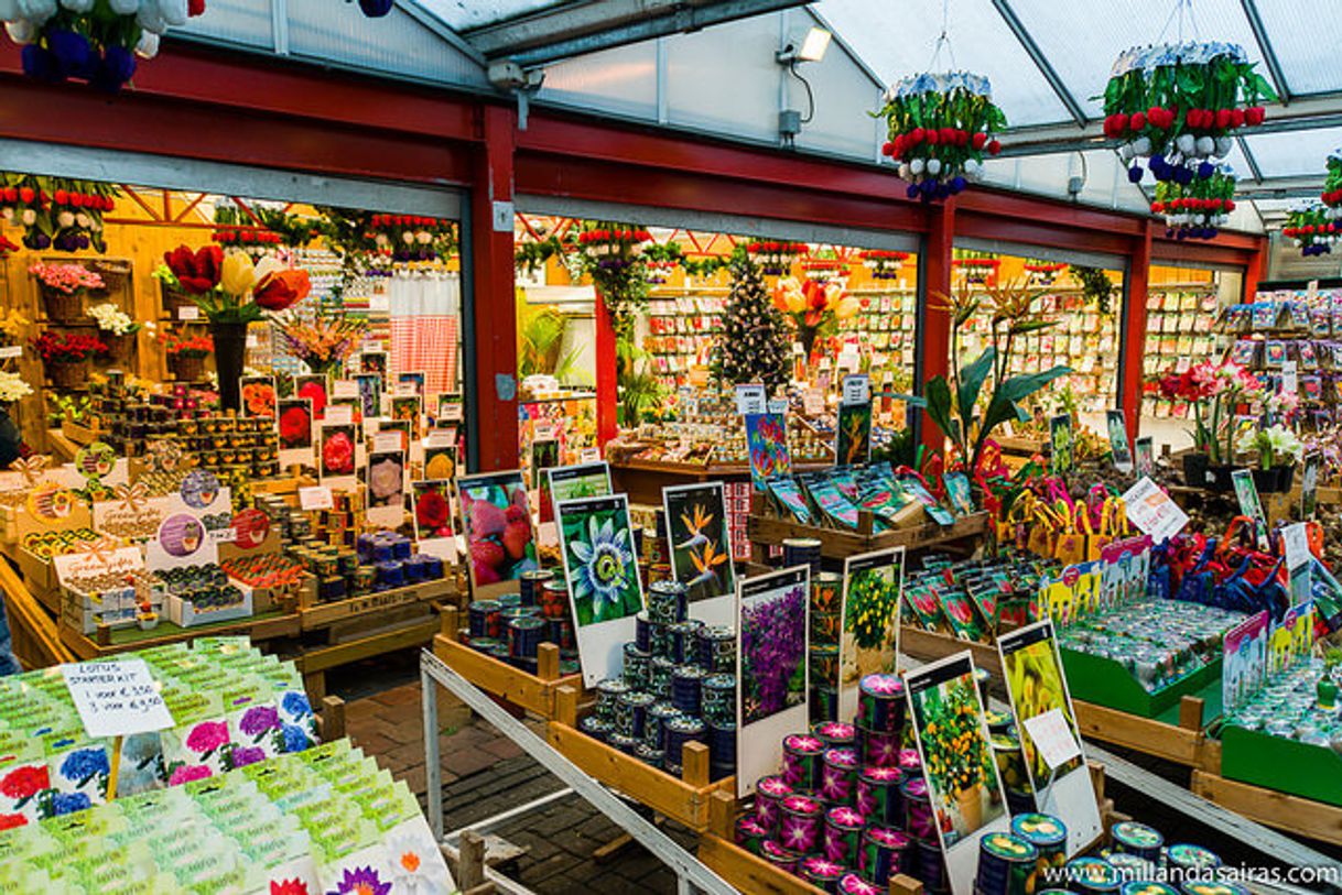 Place Bloemenmarkt