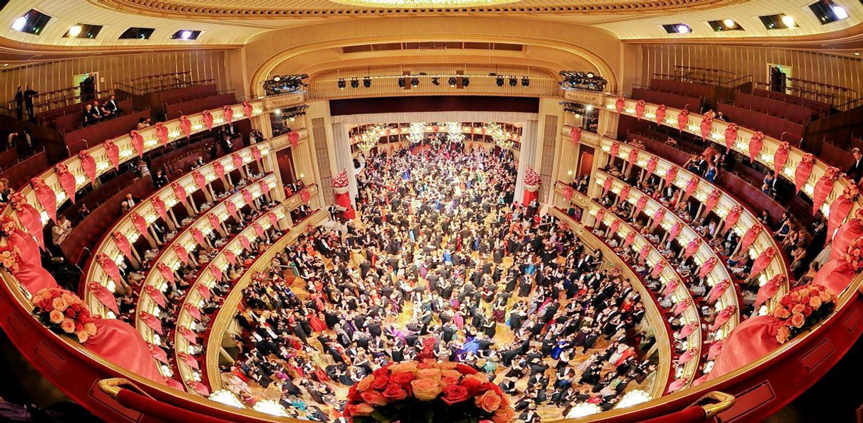 Place Vienna Operahouse