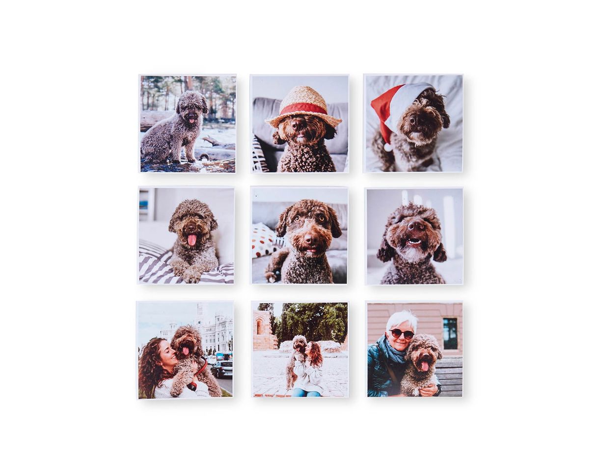 Social Imanes personalizados con Foto - Hofmann