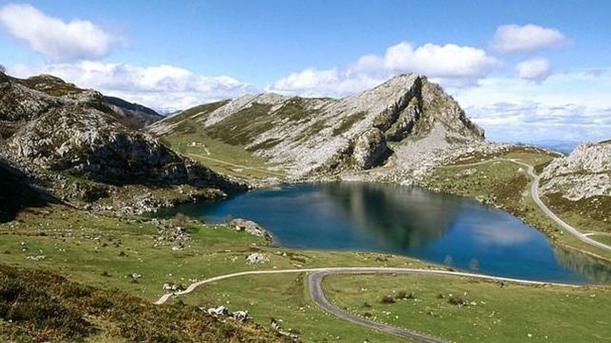 Place Picos de Europa