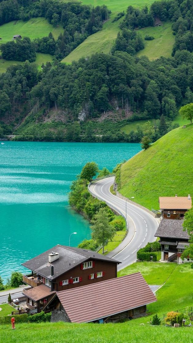 Place Suiza